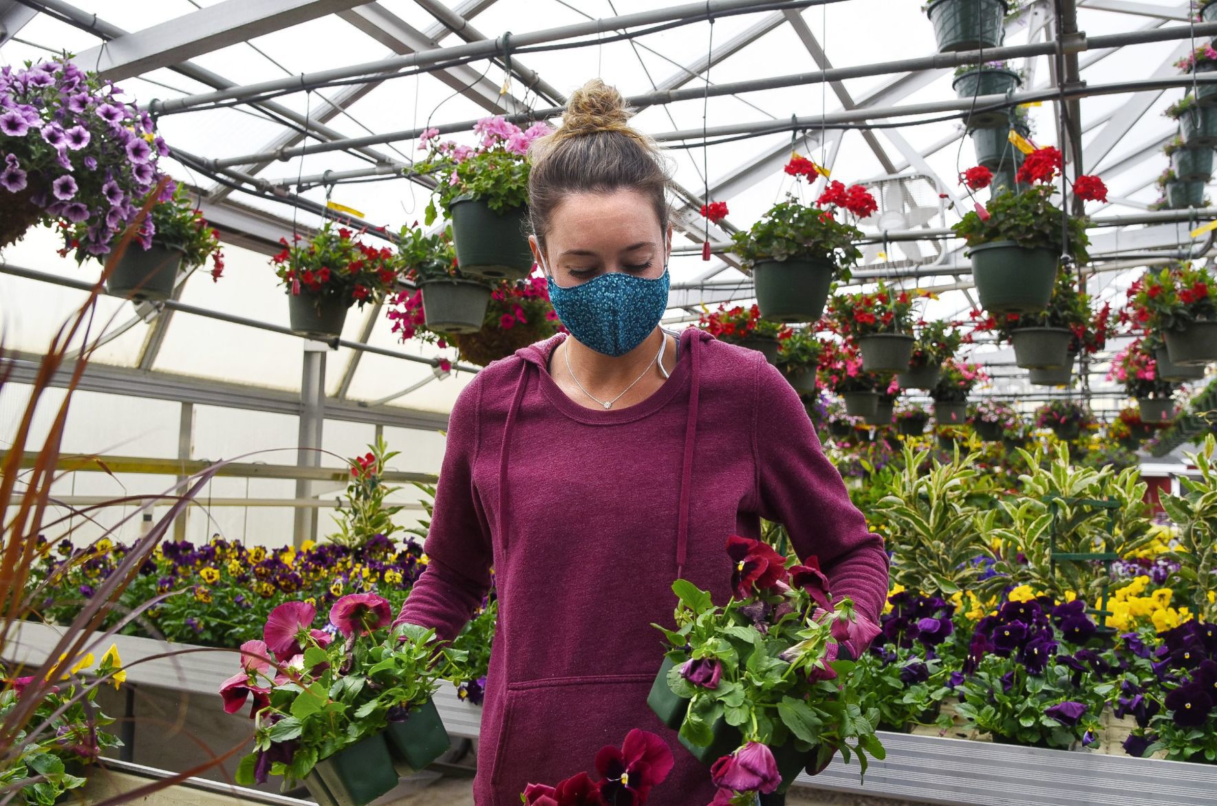 Putting out the plants